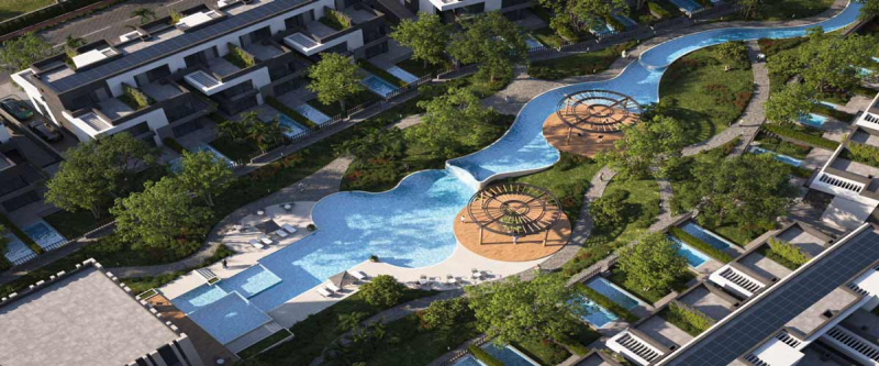 UPove Community New Zayed