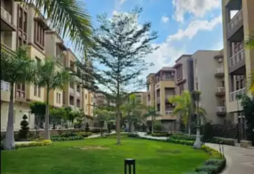 Compound Green 6 October