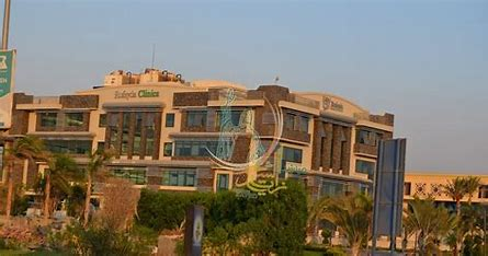 Rofayda Medical Complex – Sheikh Zayed