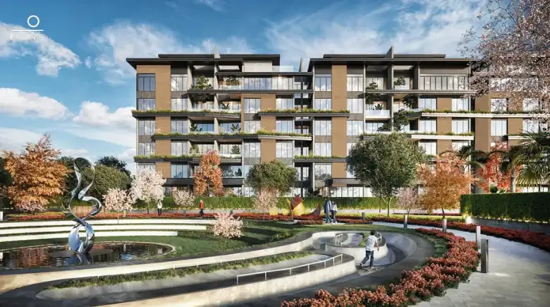 Lifewise New Cairo