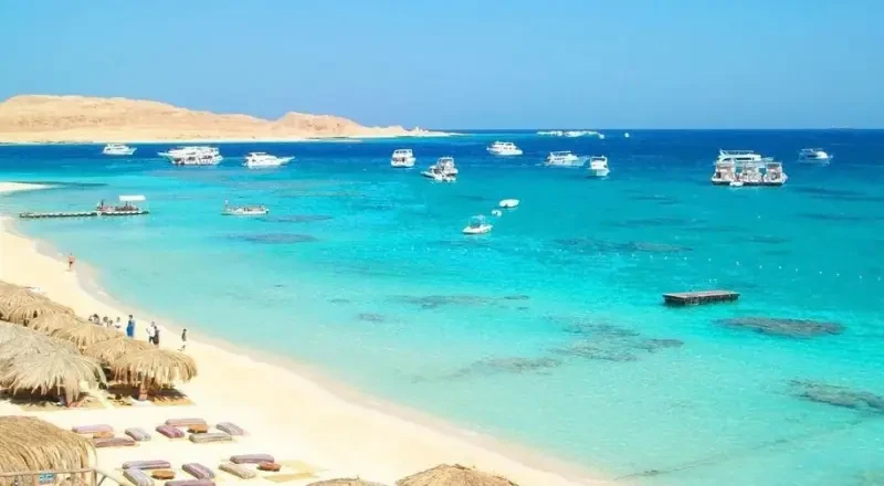 مشروع الديار القطرية البحر الأحمر