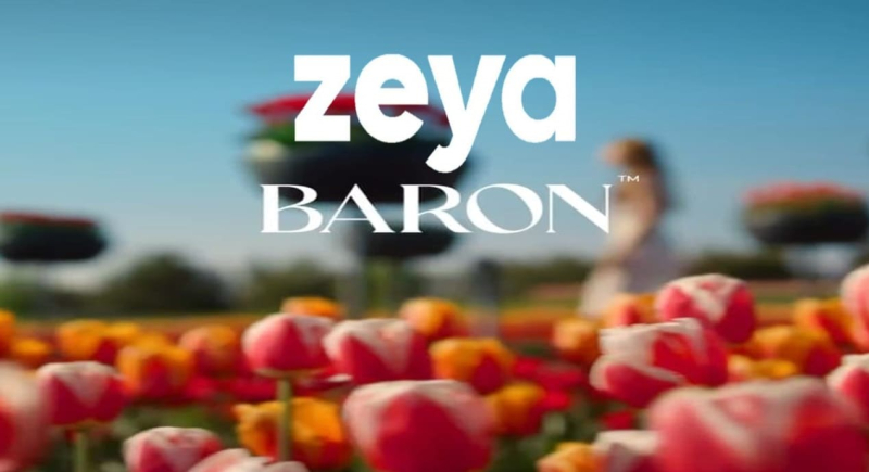 Compound Zeya Residence New Cairo