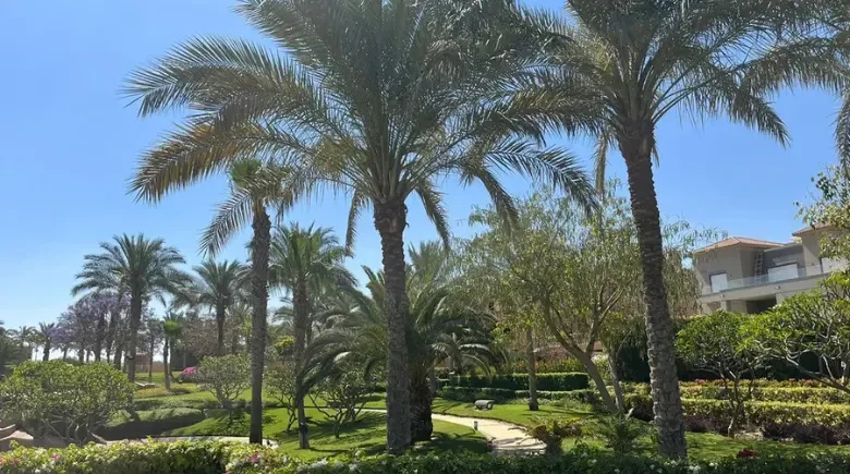 كمبوند سيزونز ريزيدنس القاهرة الجديدة