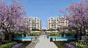Projects and properties in El Patio Riva New Cairo